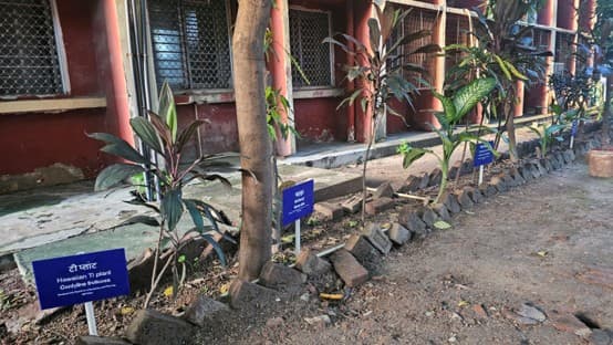 Landscape Lab